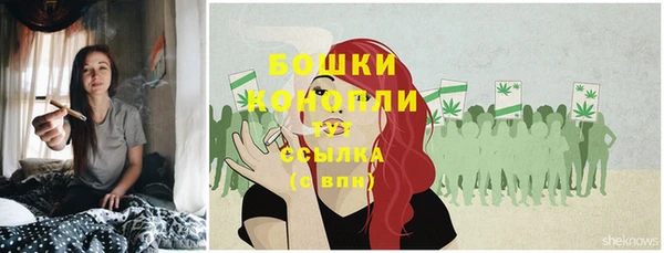 прущие грибы Аркадак