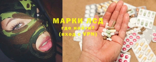 ПСИЛОЦИБИНОВЫЕ ГРИБЫ Арсеньев