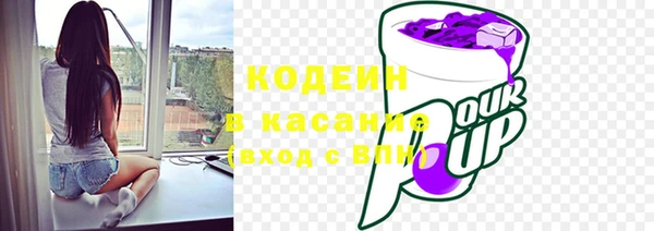 ПСИЛОЦИБИНОВЫЕ ГРИБЫ Арсеньев