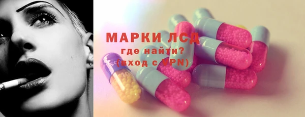 прущие грибы Аркадак