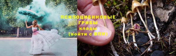 ПСИЛОЦИБИНОВЫЕ ГРИБЫ Арсеньев