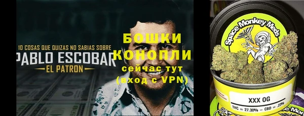 прущие грибы Аркадак