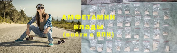 ПСИЛОЦИБИНОВЫЕ ГРИБЫ Арсеньев