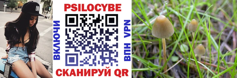 это телеграм  mega ССЫЛКА  Асбест  дарнет шоп  Галлюциногенные грибы Cubensis 